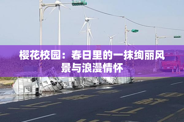樱花校园：春日里的一抹绚丽风景与浪漫情怀