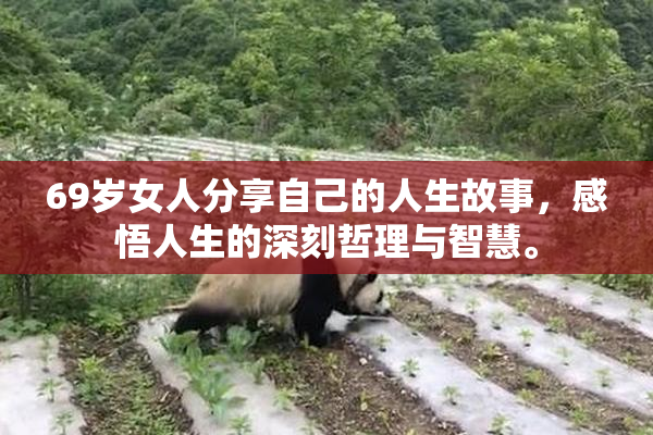 69岁女人分享自己的人生故事，感悟人生的深刻哲理与智慧。