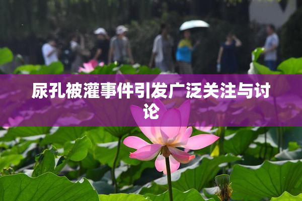 尿孔被灌事件引发广泛关注与讨论
