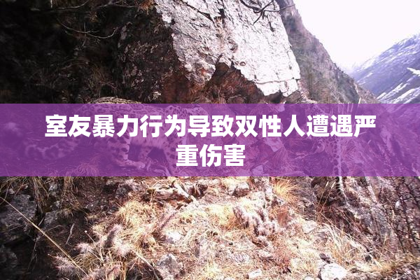 室友暴力行为导致双性人遭遇严重伤害