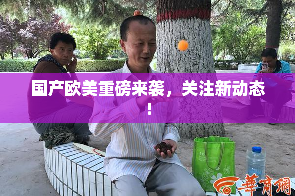 国产欧美重磅来袭，关注新动态！