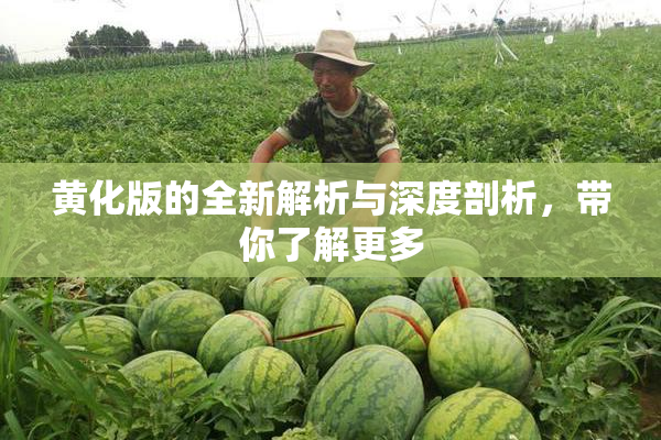黄化版的全新解析与深度剖析，带你了解更多