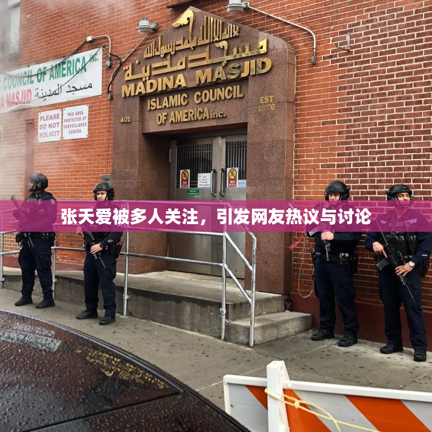 张天爱被多人关注，引发网友热议与讨论