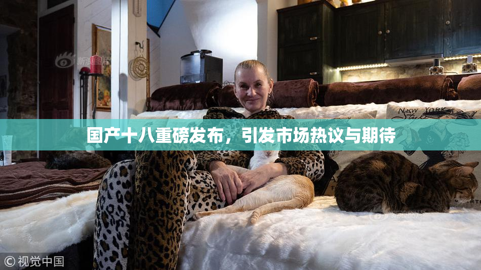 国产十八重磅发布，引发市场热议与期待