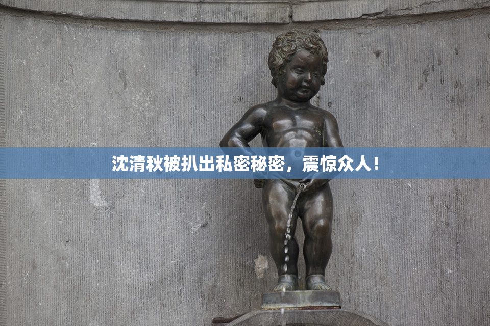沈清秋被扒出私密秘密，震惊众人！