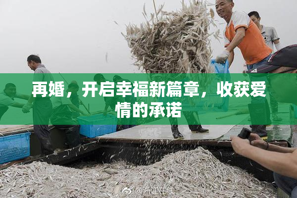 再婚，开启幸福新篇章，收获爱情的承诺