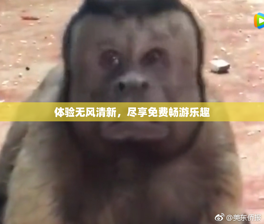 体验无风清新，尽享免费畅游乐趣