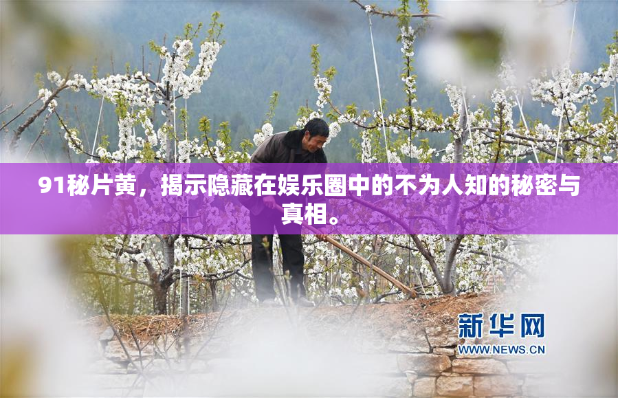 91秘片黄，揭示隐藏在娱乐圈中的不为人知的秘密与真相。