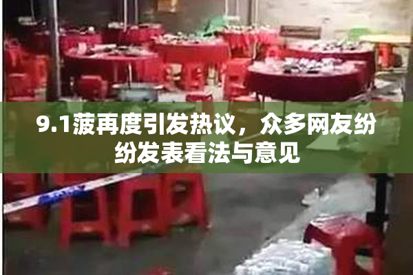 9.1菠再度引发热议，众多网友纷纷发表看法与意见