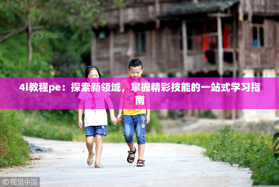 4i教程pe：探索新领域，掌握精彩技能的一站式学习指南