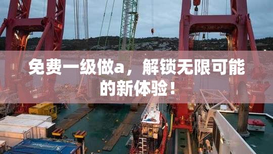 免费一级做a，解锁无限可能的新体验！
