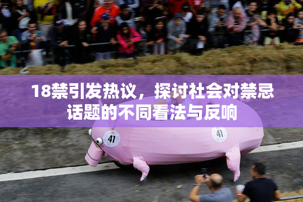 18禁引发热议，探讨社会对禁忌话题的不同看法与反响