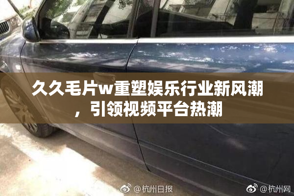 久久毛片w重塑娱乐行业新风潮，引领视频平台热潮