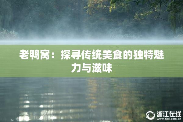 老鸭窝：探寻传统美食的独特魅力与滋味