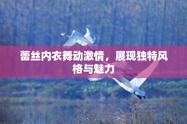蕾丝内衣舞动激情，展现独特风格与魅力