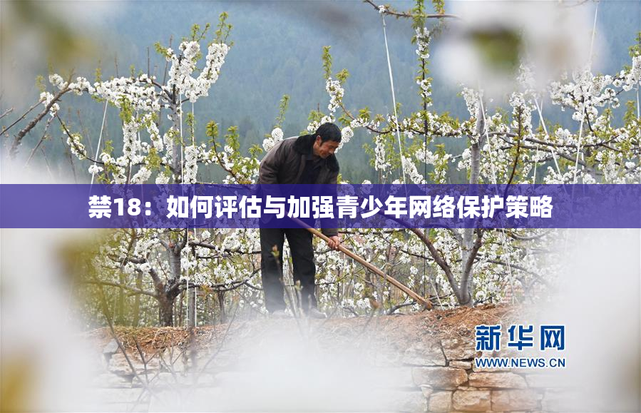禁18：如何评估与加强青少年网络保护策略