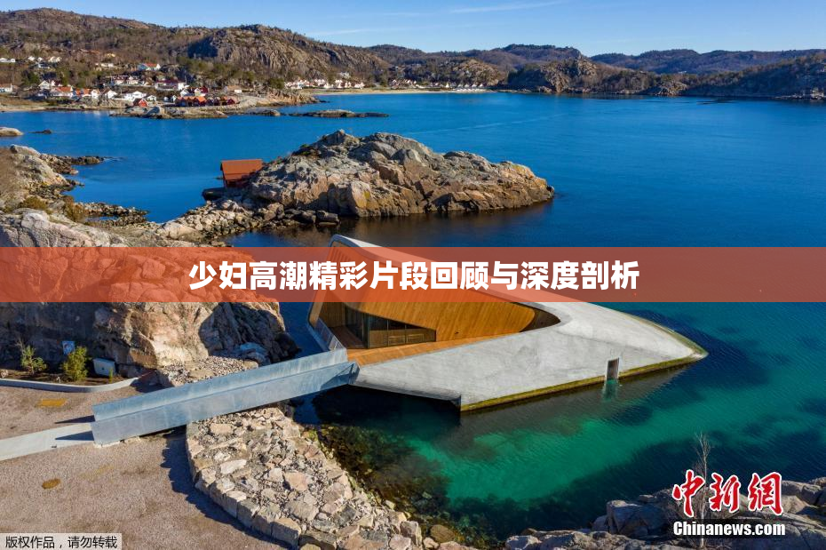 少妇高潮精彩片段回顾与深度剖析