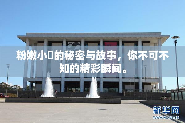 粉嫩小泬的秘密与故事，你不可不知的精彩瞬间。