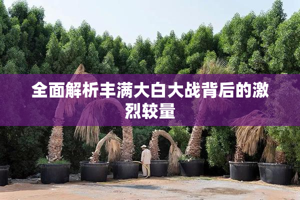 全面解析丰满大白大战背后的激烈较量