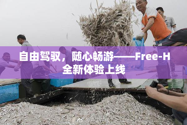 自由驾驭，随心畅游——Free-H全新体验上线