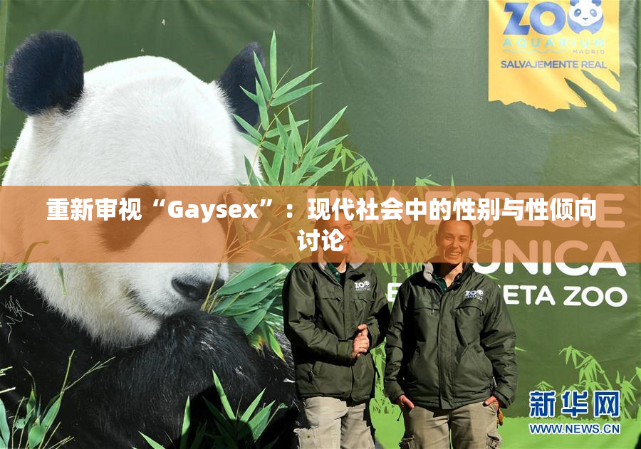 重新审视“Gaysex”：现代社会中的性别与性倾向讨论
