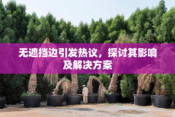 无遮挡边引发热议，探讨其影响及解决方案