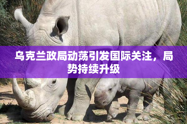 乌克兰政局动荡引发国际关注，局势持续升级