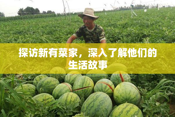 探访新有菜家，深入了解他们的生活故事
