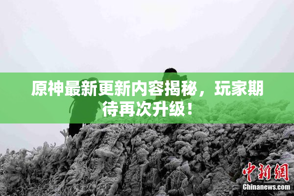 原神最新更新内容揭秘，玩家期待再次升级！