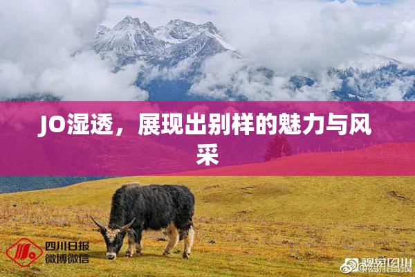 JO湿透，展现出别样的魅力与风采