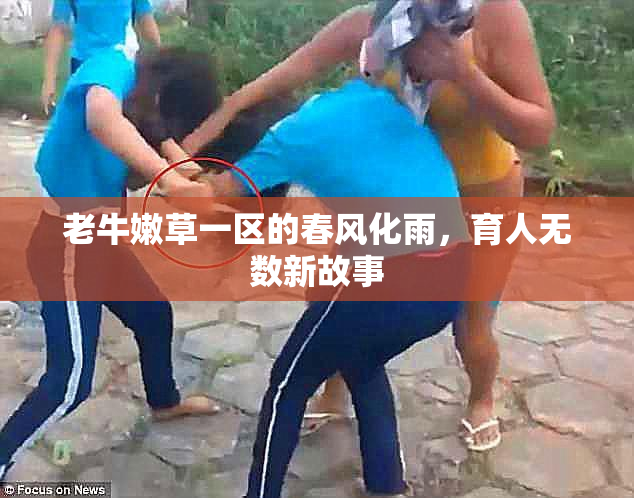 老牛嫩草一区的春风化雨，育人无数新故事