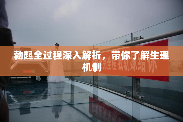 勃起全过程深入解析，带你了解生理机制