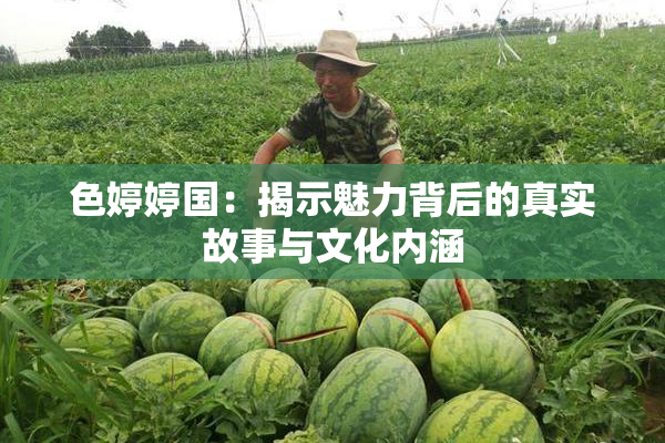 色婷婷国：揭示魅力背后的真实故事与文化内涵