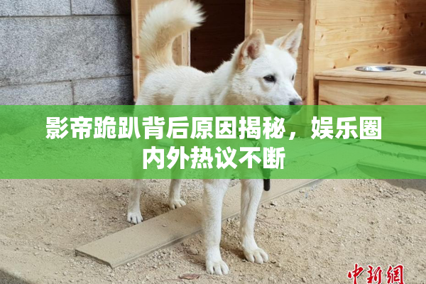 影帝跪趴背后原因揭秘，娱乐圈内外热议不断