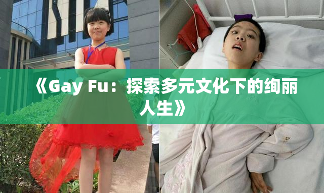 《Gay Fu：探索多元文化下的绚丽人生》