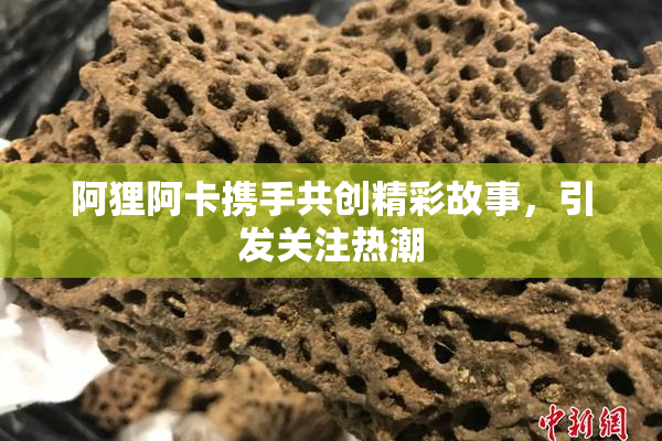 阿狸阿卡携手共创精彩故事，引发关注热潮