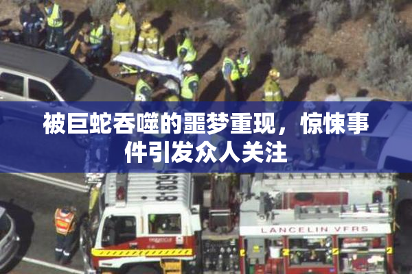 被巨蛇吞噬的噩梦重现，惊悚事件引发众人关注