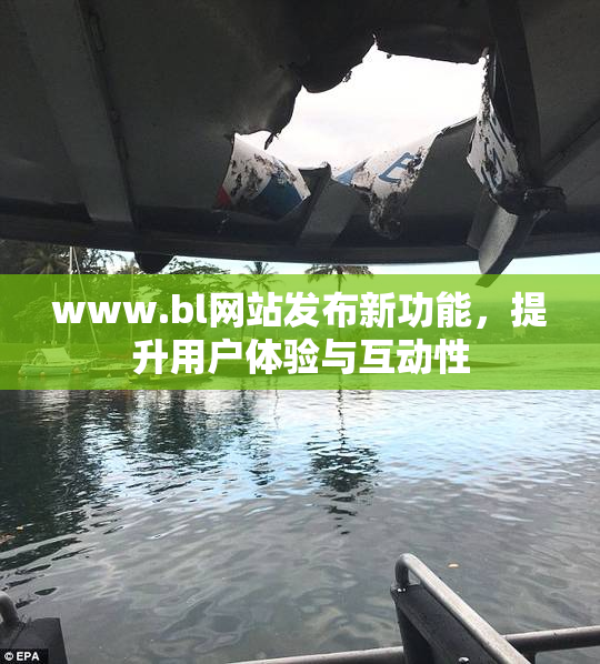 www.bl网站发布新功能，提升用户体验与互动性