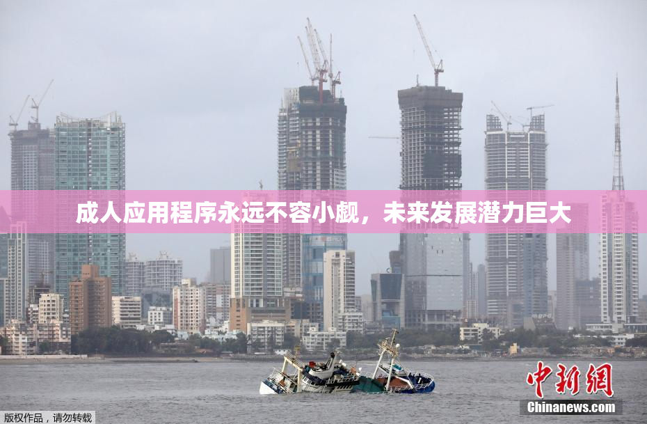 成人应用程序永远不容小觑，未来发展潜力巨大