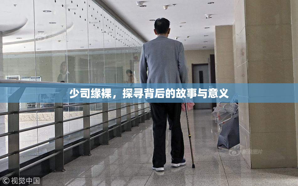 少司缘裸，探寻背后的故事与意义