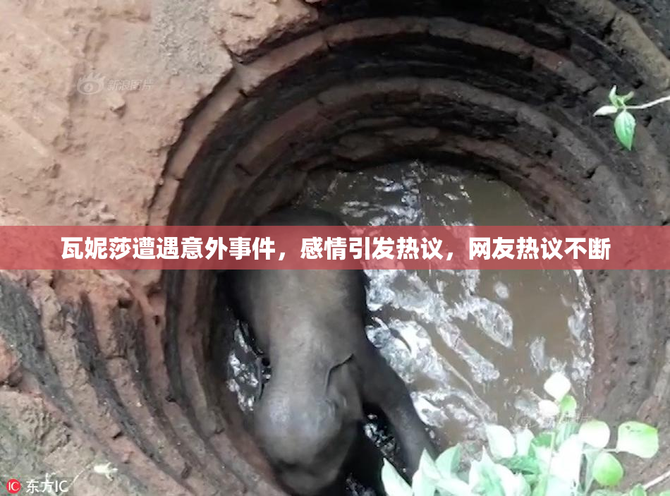瓦妮莎遭遇意外事件，感情引发热议，网友热议不断