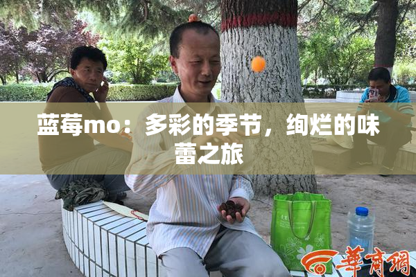 蓝莓mo：多彩的季节，绚烂的味蕾之旅