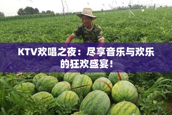 KTV欢唱之夜：尽享音乐与欢乐的狂欢盛宴！