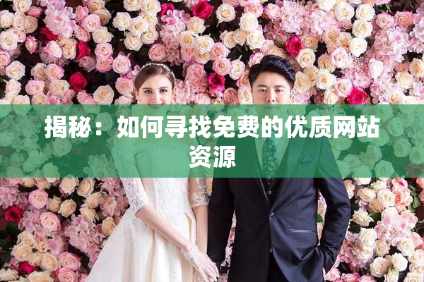 揭秘：如何寻找免费的优质网站资源