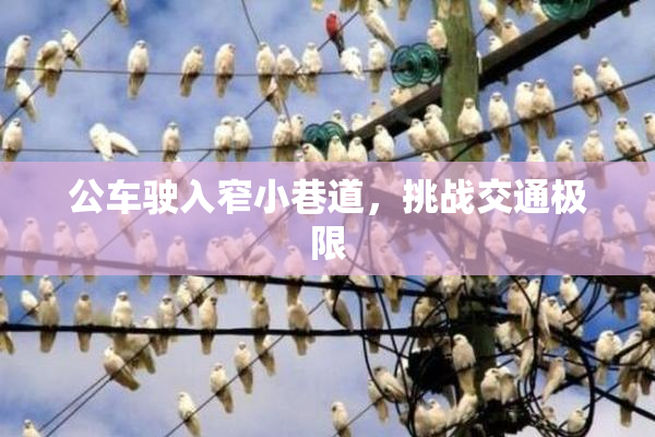 公车驶入窄小巷道，挑战交通极限