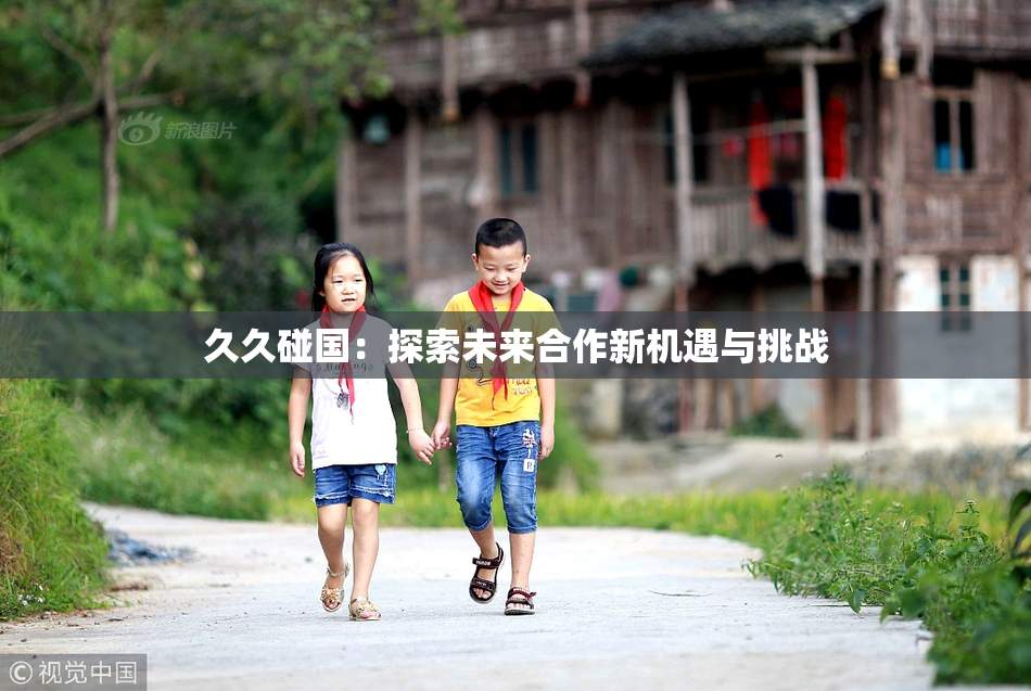 久久碰国：探索未来合作新机遇与挑战
