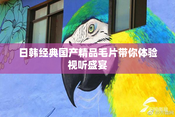 日韩经典国产精品毛片带你体验视听盛宴