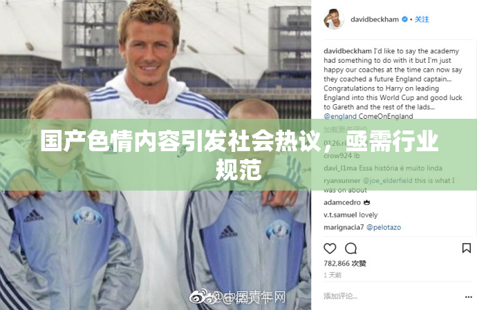 国产色情内容引发社会热议，亟需行业规范