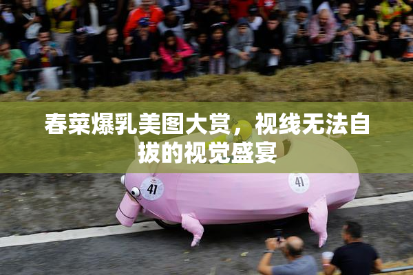 春菜爆乳美图大赏，视线无法自拔的视觉盛宴