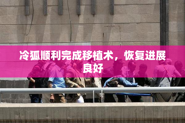 冷狐顺利完成移植术，恢复进展良好